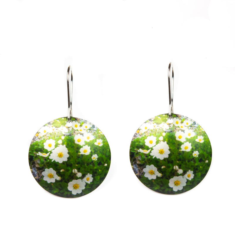 Earrings Lapland flower Fjällsippa w silver hooks